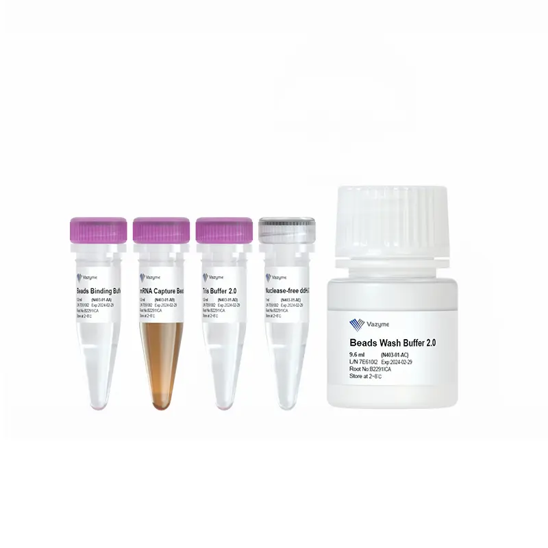 VAHTS mRNA Capture Beads 2.0 - 96T