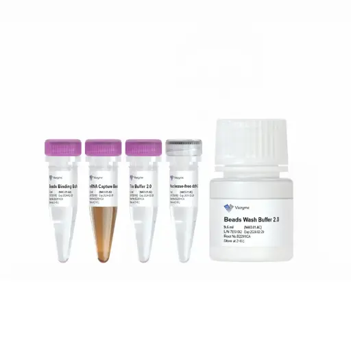 [0813-N403-02] Koraliki wychwytujące mRNA VAHTS 2.0 - 96 Tests