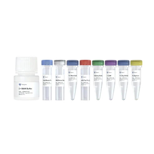 [0813-TD904-01] Hyperactive Universal CUT&Tag Assay Kit for Illumina Pro - 12 Reactions