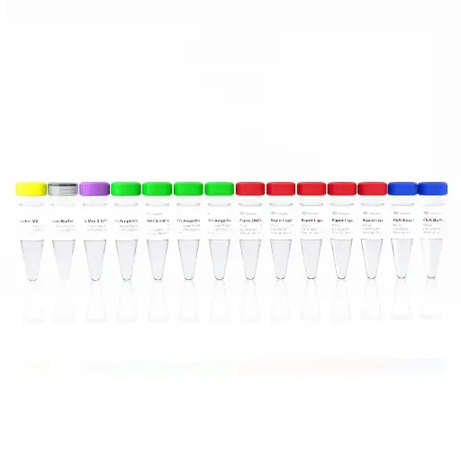 [0813-ND627-02] Zestaw do przygotowania biblioteki DNA VAHTS Universal Plus dla Illumina V2 - 96 Reakcje